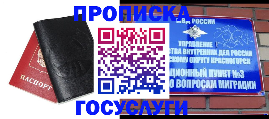купить прописку в Емве